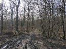 Bois du Châtelard